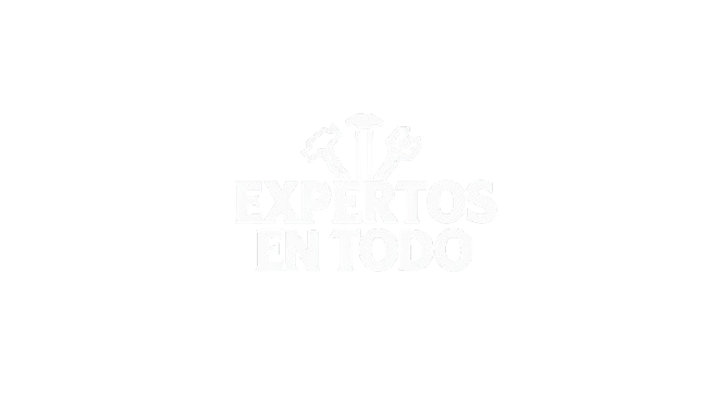 expertosentodo.com